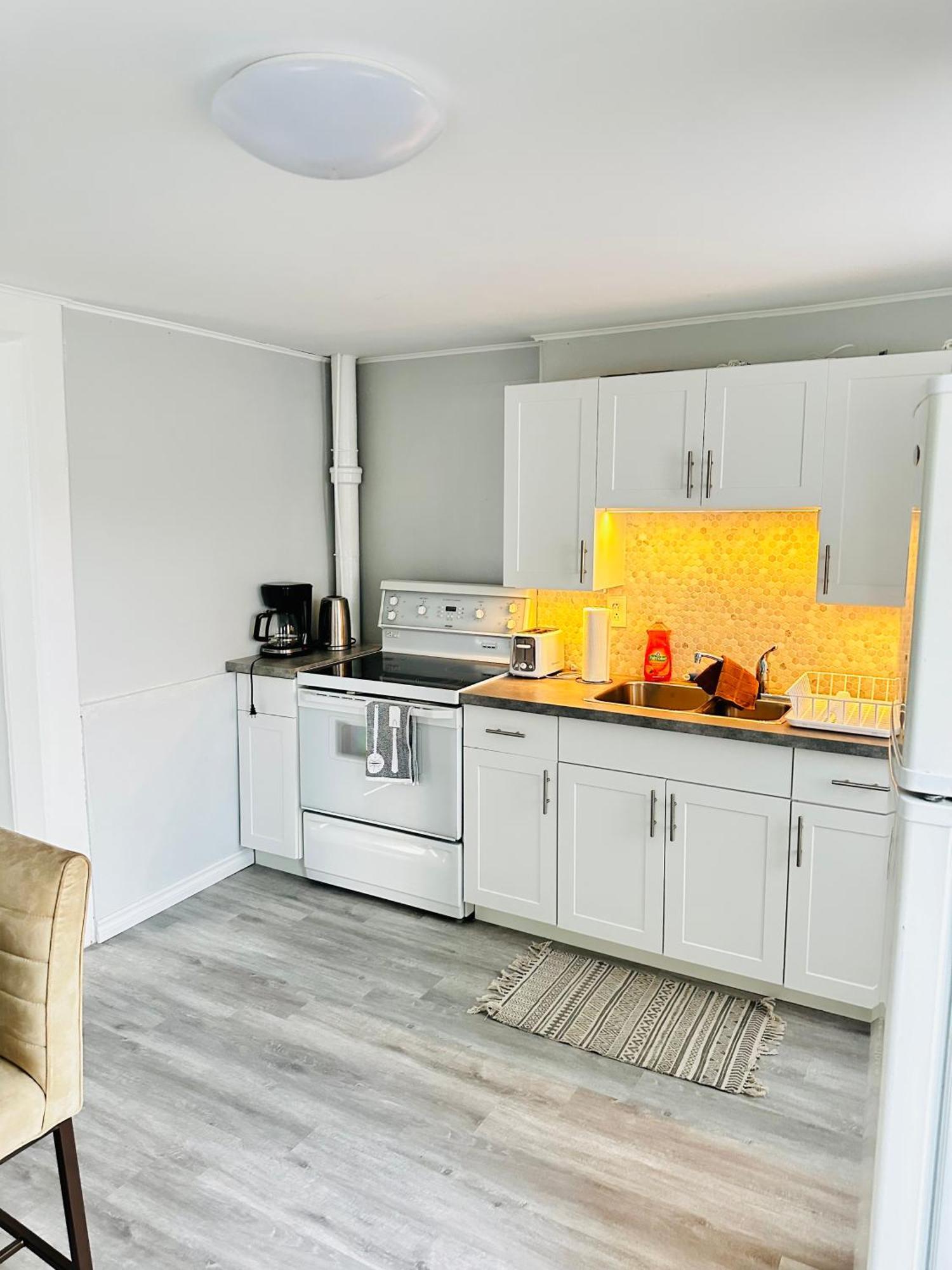 Cozy 2Br House Near Centre With Patio, Bbq, Backyard, And Netflix Διαμέρισμα Peterborough Εξωτερικό φωτογραφία